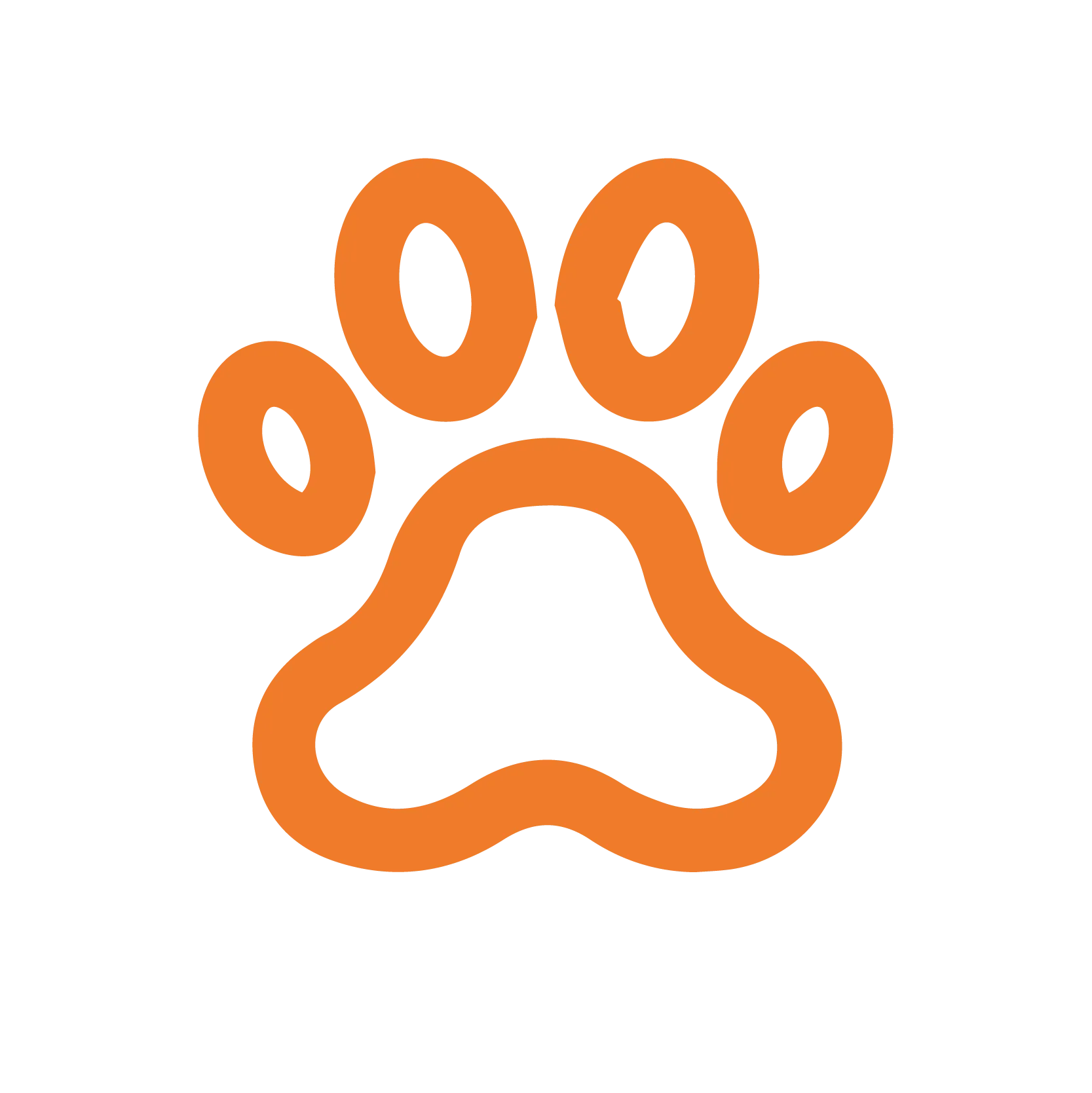 Pet Insurance